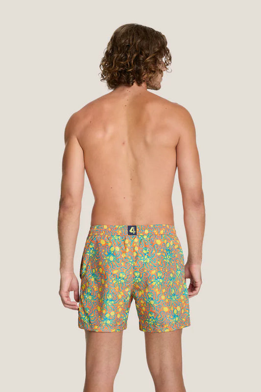 SHORT CORTO MARE POLIPO